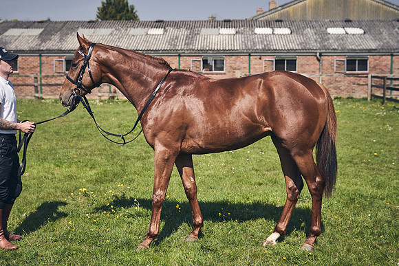 GEORGE-BOUGHEY-RACING-DJ-3660