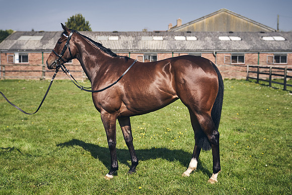 GEORGE-BOUGHEY-RACING-DJ-3536