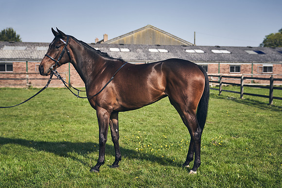GEORGE-BOUGHEY-RACING-DJ-2179