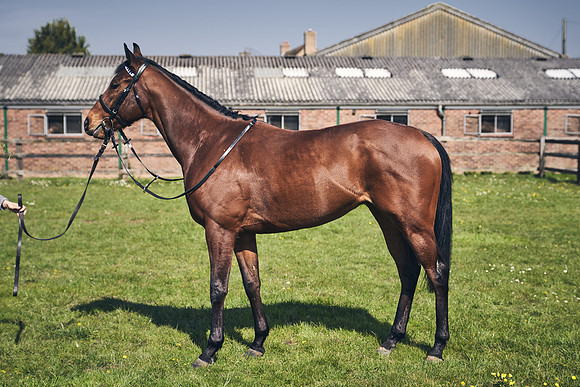 GEORGE-BOUGHEY-RACING-DJ-3493