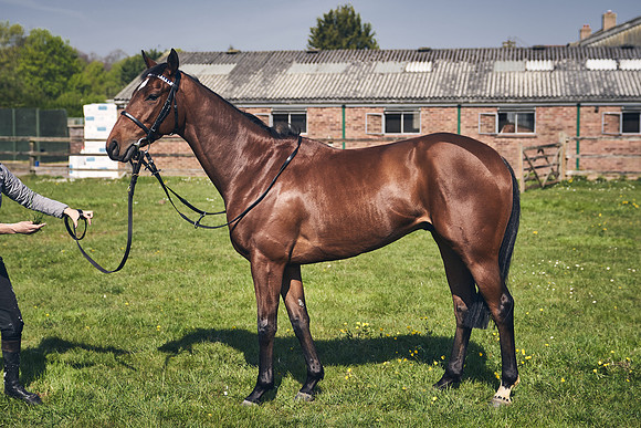 GEORGE-BOUGHEY-RACING-DJ-3505