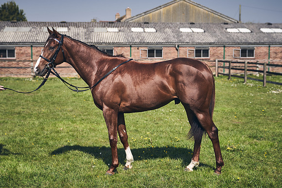 GEORGE-BOUGHEY-RACING-DJ-3702