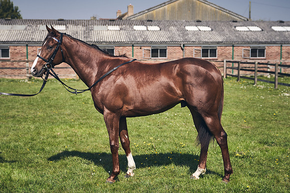 GEORGE-BOUGHEY-RACING-DJ-3700