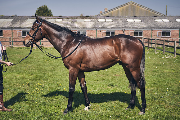 GEORGE-BOUGHEY-RACING-DJ-3721