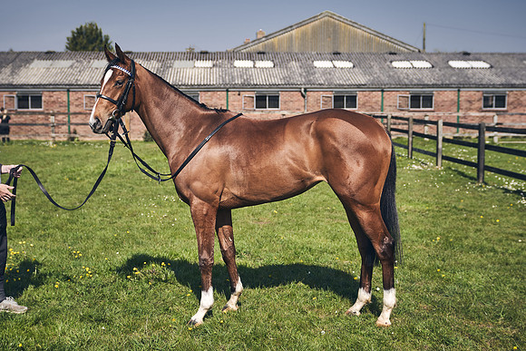 GEORGE-BOUGHEY-RACING-DJ-3638