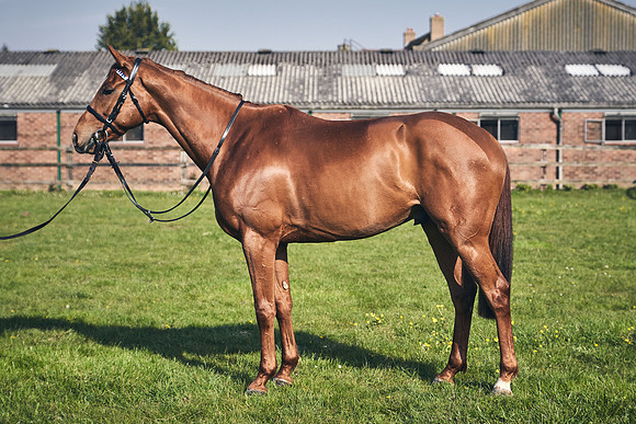 GEORGE-BOUGHEY-RACING-DJ-2149