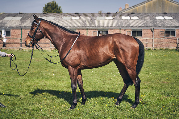 GEORGE-BOUGHEY-RACING-DJ-3485