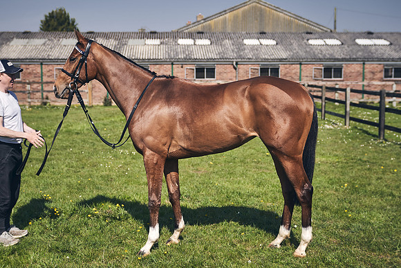 GEORGE-BOUGHEY-RACING-DJ-3634