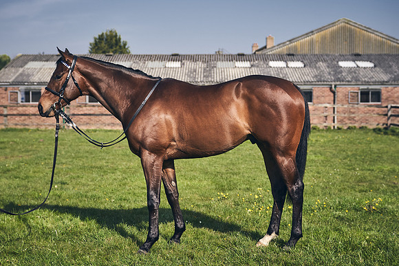 GEORGE-BOUGHEY-RACING-DJ-2190