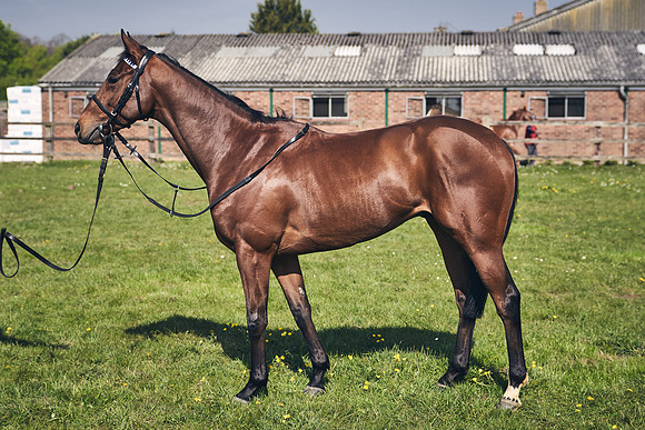 GEORGE-BOUGHEY-RACING-DJ-3524