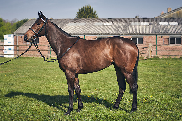 GEORGE-BOUGHEY-RACING-DJ-2138