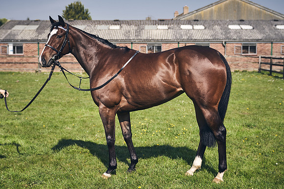 GEORGE-BOUGHEY-RACING-DJ-3528