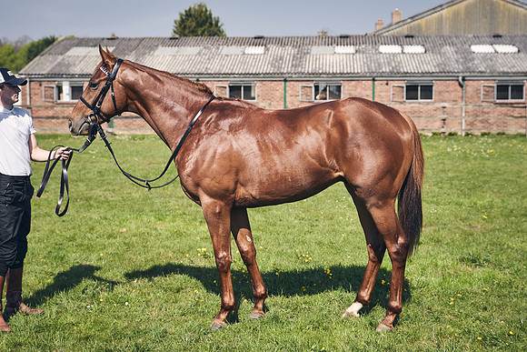 GEORGE-BOUGHEY-RACING-DJ-3669