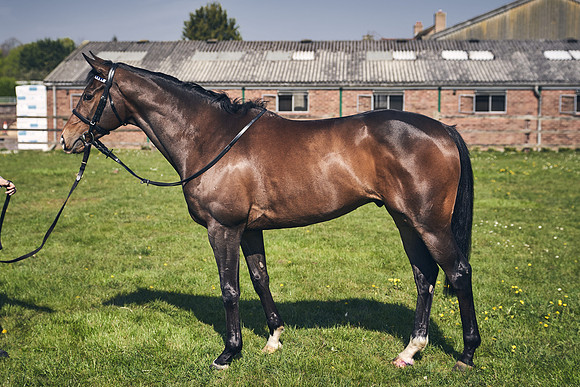 GEORGE-BOUGHEY-RACING-DJ-3541