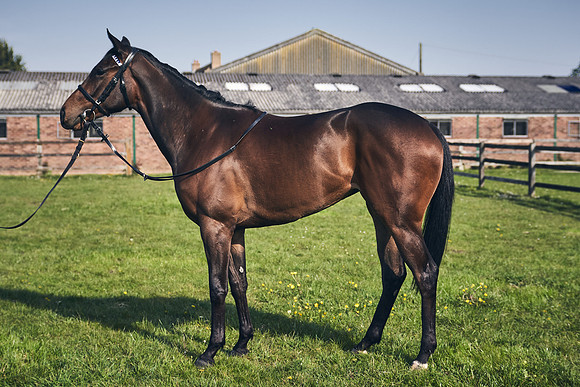 GEORGE-BOUGHEY-RACING-DJ-2175