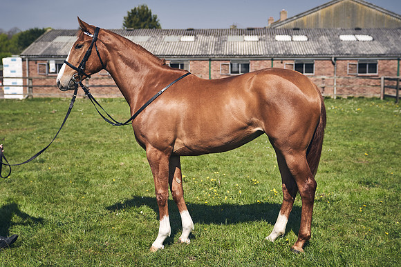 GEORGE-BOUGHEY-RACING-DJ-3715