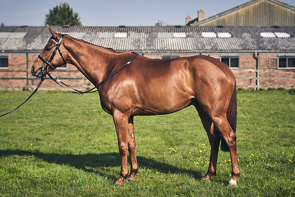 GEORGE-BOUGHEY-RACING-DJ-2154