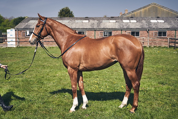 GEORGE-BOUGHEY-RACING-DJ-3713