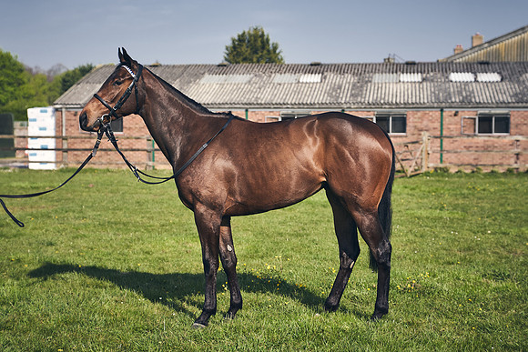 GEORGE-BOUGHEY-RACING-DJ-2137