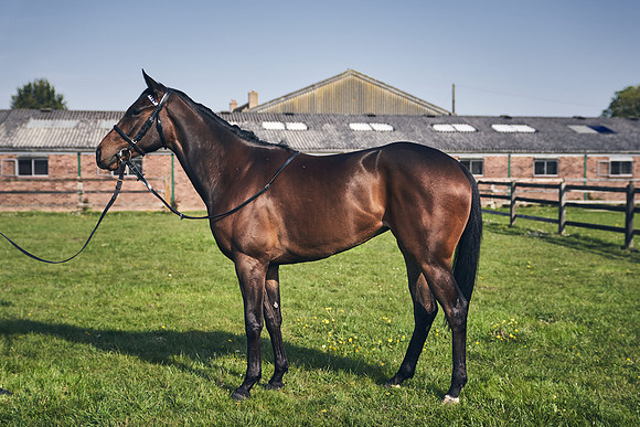 GEORGE-BOUGHEY-RACING-DJ-2174