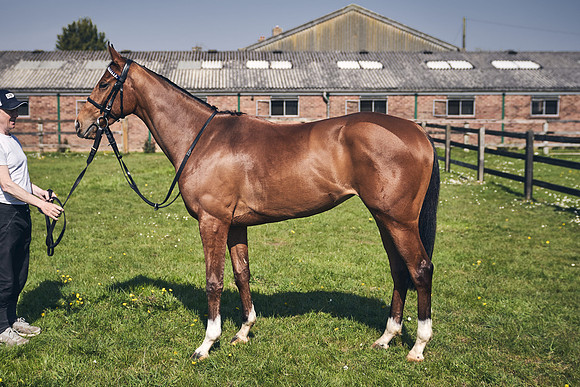 GEORGE-BOUGHEY-RACING-DJ-3632