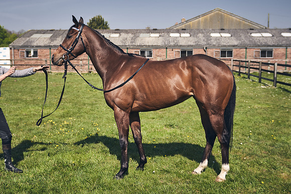 GEORGE-BOUGHEY-RACING-DJ-3588