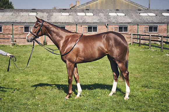GEORGE-BOUGHEY-RACING-DJ-3654