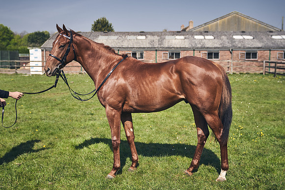 GEORGE-BOUGHEY-RACING-DJ-3686