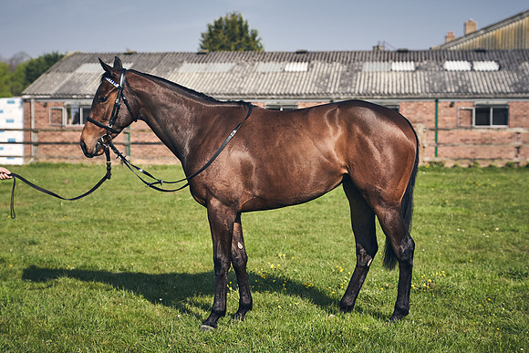 GEORGE-BOUGHEY-RACING-DJ-2133