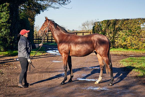 2020-11-04-Dominic-James-1397