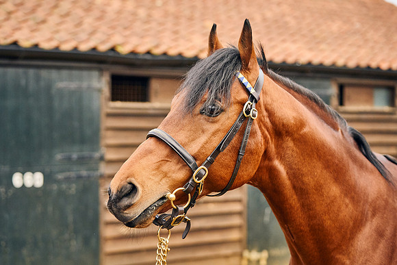 2022-02-03-Dominic-James-3330
