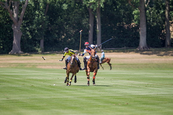 Veuve Clicquot Gold Cup 2013