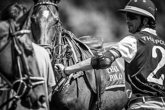 Veuve Clicquot Gold Cup 2013