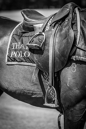Veuve Clicquot Gold Cup 2013