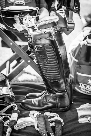 Veuve Clicquot Gold Cup 2013