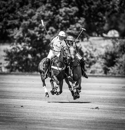 Veuve Clicquot Gold Cup 2013