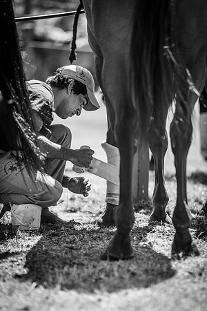 Veuve Clicquot Gold Cup 2013