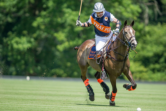 Veuve Clicquot Gold Cup 2013