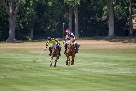 Veuve Clicquot Gold Cup 2013