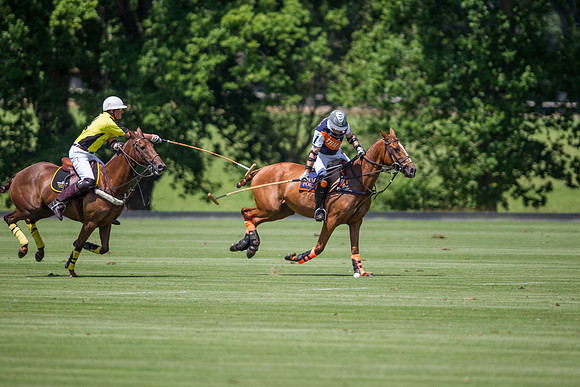 Veuve Clicquot Gold Cup 2013
