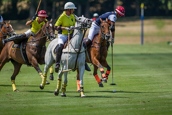 Veuve Clicquot Gold Cup 2013