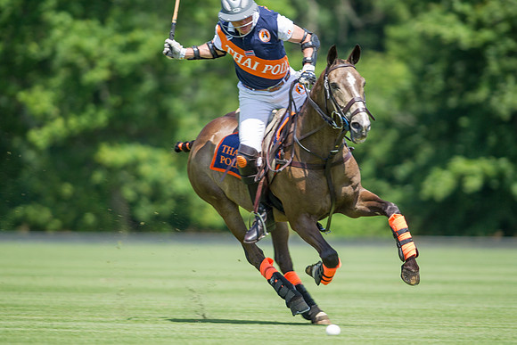 Veuve Clicquot Gold Cup 2013