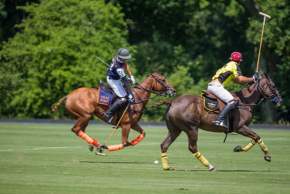 Veuve Clicquot Gold Cup 2013