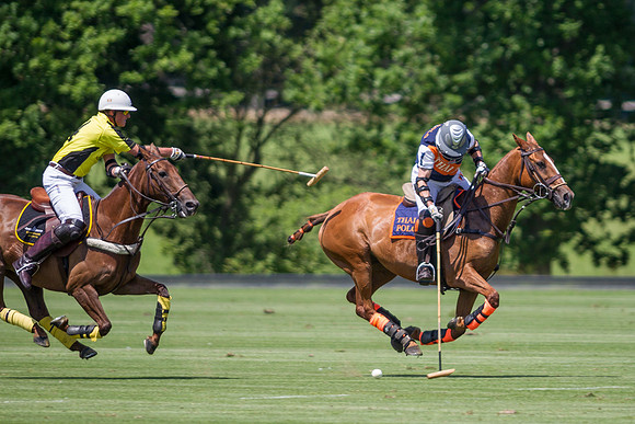 Veuve Clicquot Gold Cup 2013
