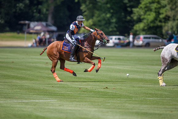 Veuve Clicquot Gold Cup 2013
