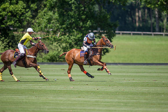 Veuve Clicquot Gold Cup 2013