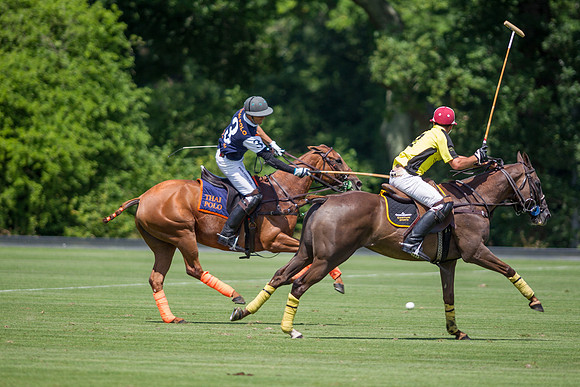 Veuve Clicquot Gold Cup 2013