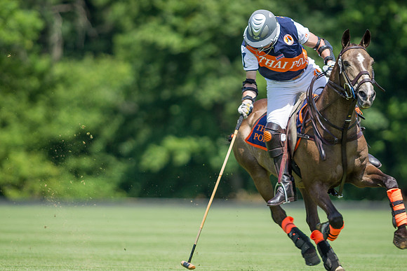 Veuve Clicquot Gold Cup 2013
