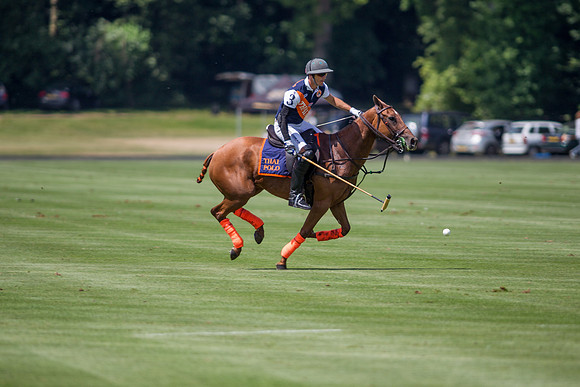 Veuve Clicquot Gold Cup 2013