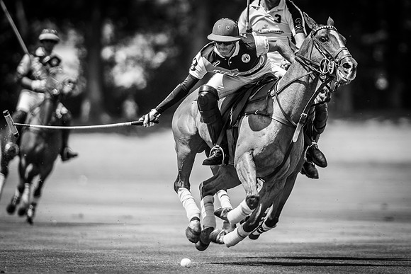 Veuve Clicquot Gold Cup 2013